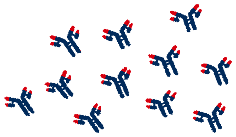 抗体のイラスト（紺・赤）

フリー素材
実験イラスト
研究イラスト
免疫
抗原抗体反応
フリー素材
