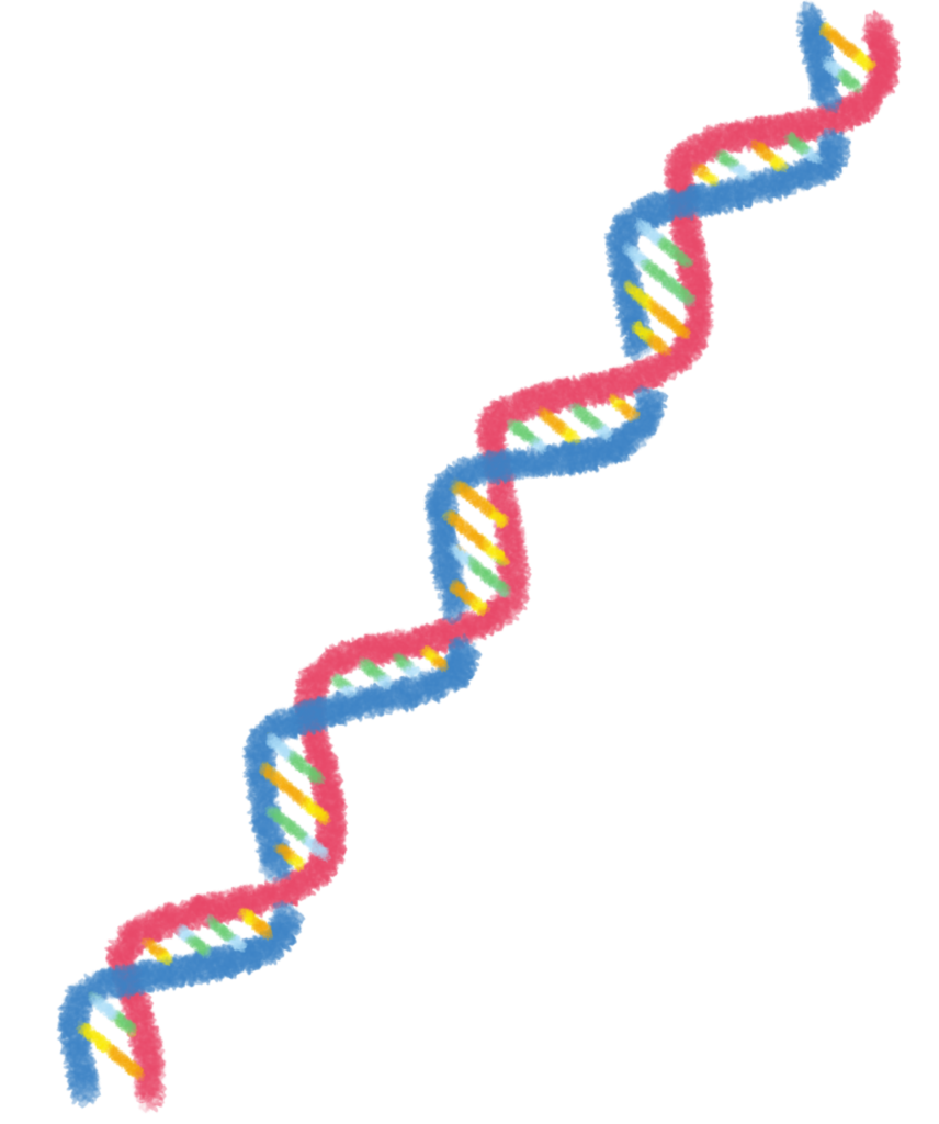 DNA(赤青)
化学イラスト
科学イラスト
研究イラスト
フリー素材
