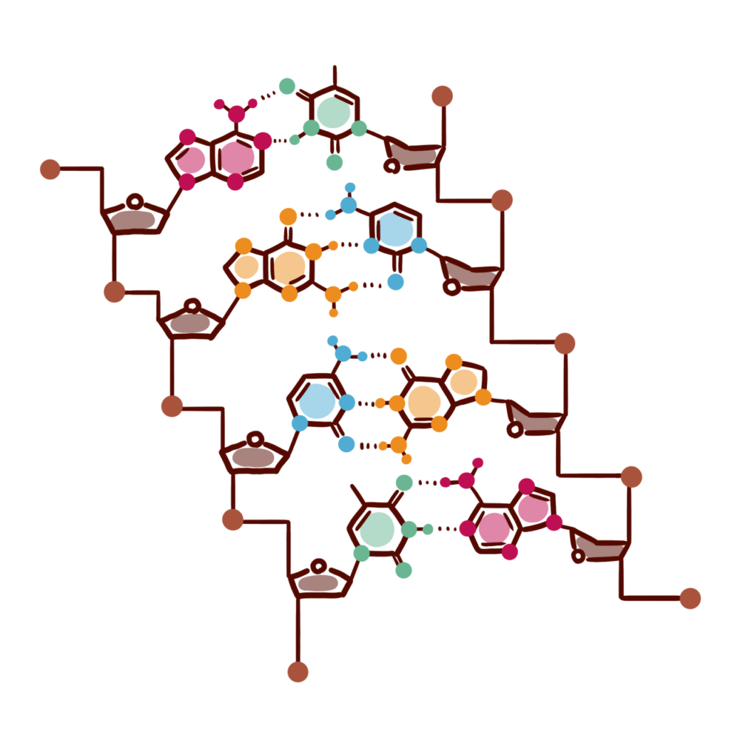 Dna かがくイラスト