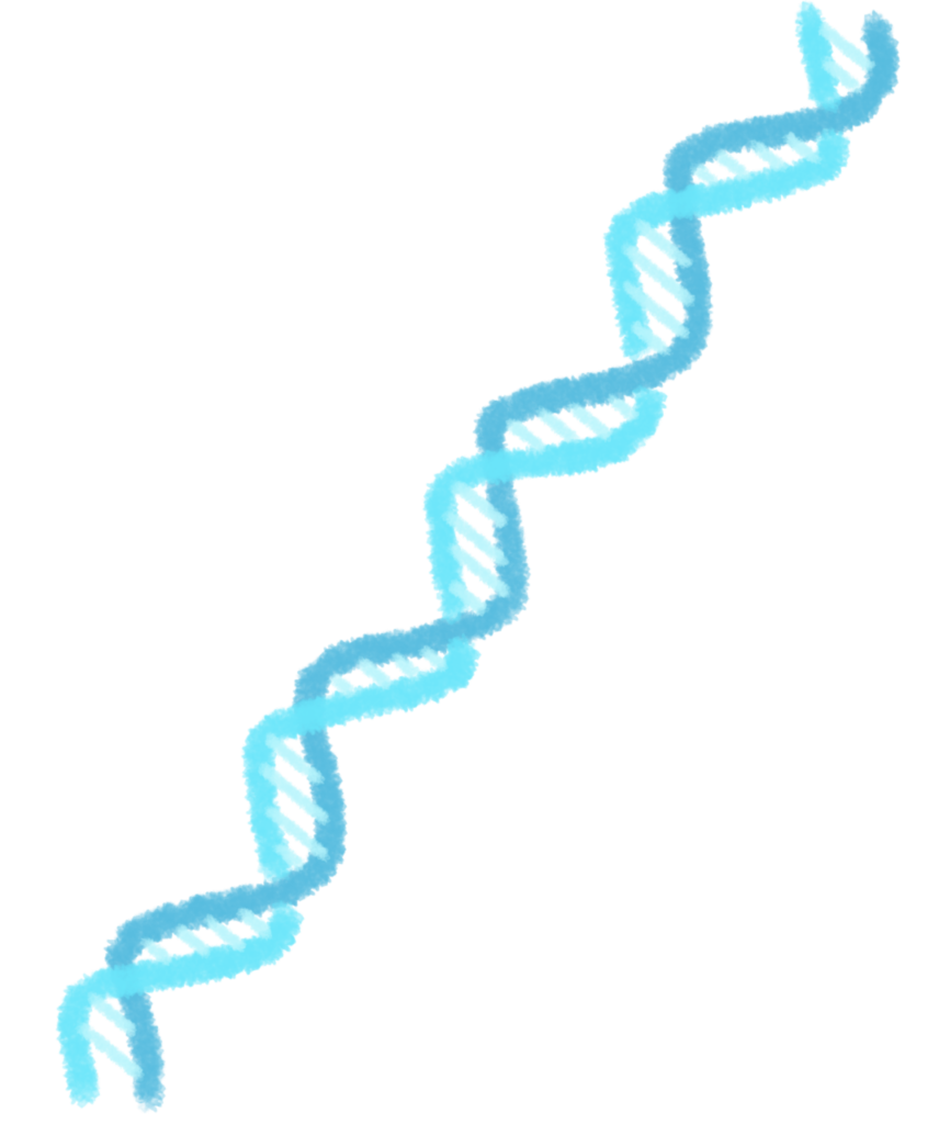 DNA(ブルー)