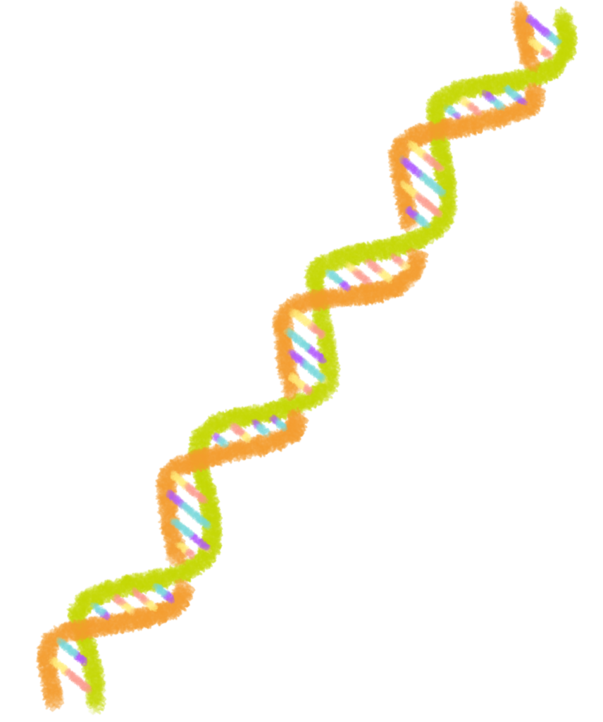 DNA(ポップカラー)