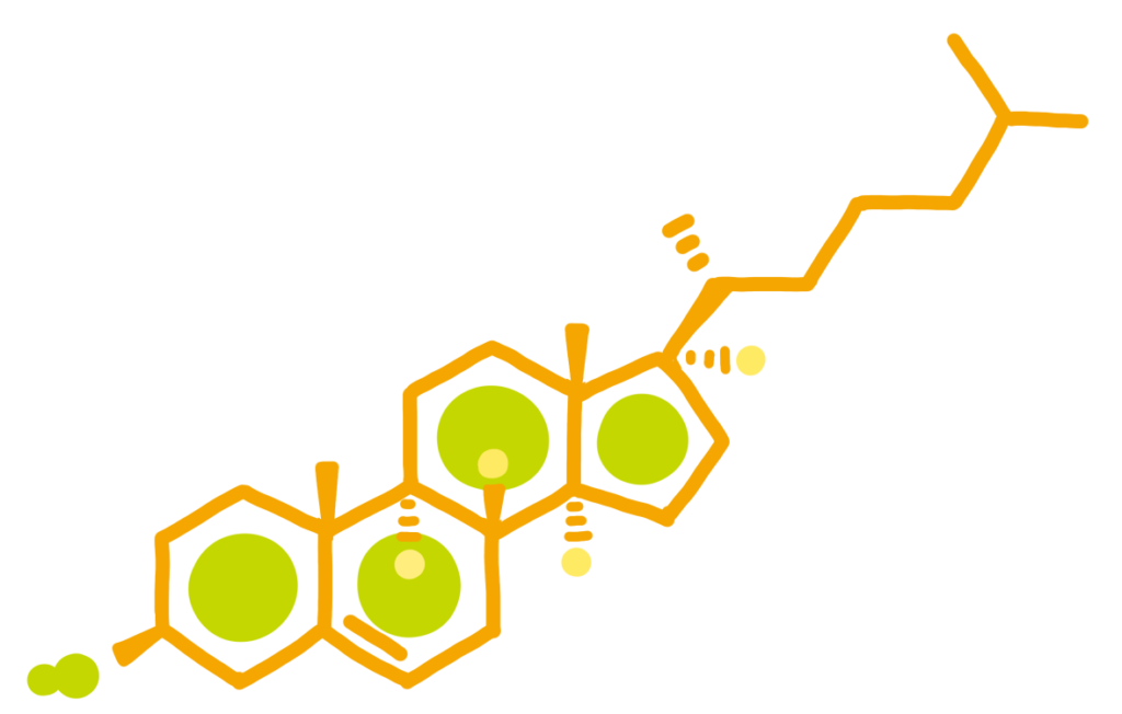 コレステロールのイラスト（にんじんカラー）
有機化学
創薬化学
薬理
構造式