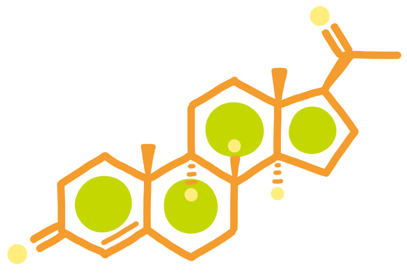 プロゲステロン（にんじんカラー）
有機化学
創薬化学
薬理
構造式