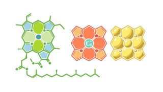 分子のイラスト かがくイラスト