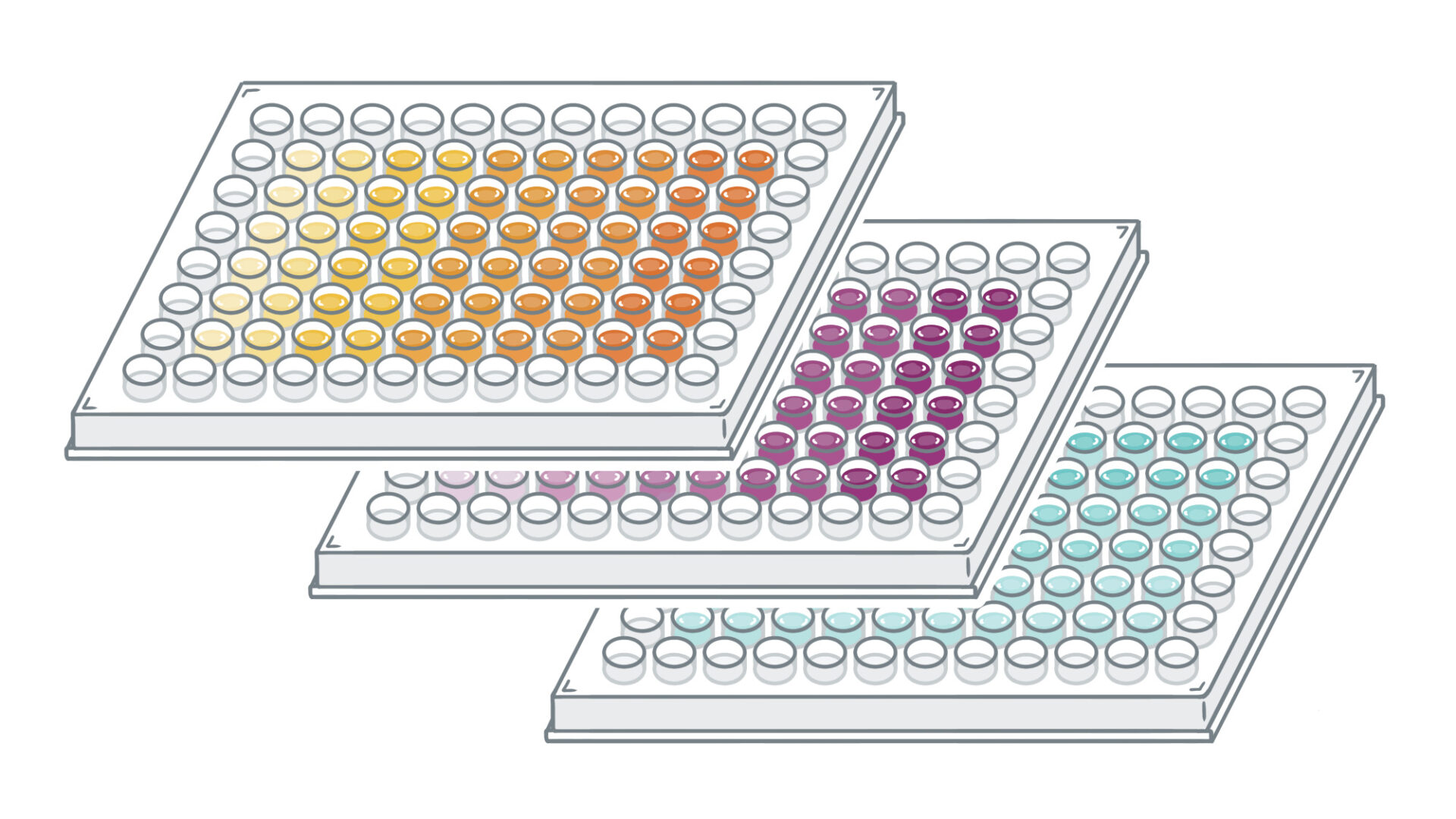 96ウェルプレート｜かがくイラスト
