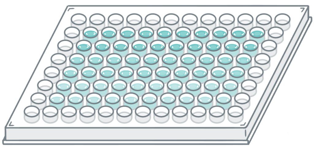 96ウェルプレート｜かがくイラスト